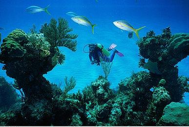 快节奏战斗动作游戏《Genokids》众筹开启